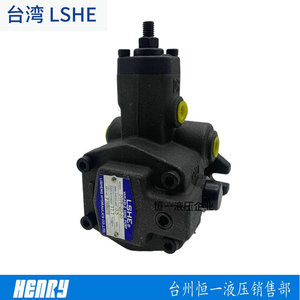 Pompe à aubes LSHE SVPF 15 20 30 40 55 70, pompe à huile hydraulique pour machines industrielles - Product Image 5