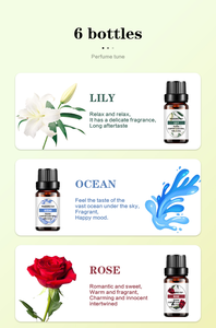 Aceite aromático fragante para revitalizador de aire a base de agua Ambientador Paquete de 6 aromas Juego de aceites solubles en agua Perfecto para humidificadores - Product Image 4