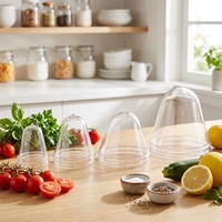 Préformes coniques transparentes en PET multi-tailles à large ouverture pour récipients de stockage alimentaire