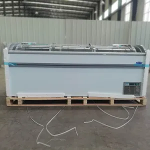 Runte -25c low temperature freezer fridge for frozen sea food