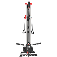 Appareil d'entraînement complet multifonctionnel mural Flybird en acier de haute qualité pour exercices de traction dorsale intégrale