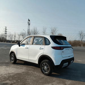 Vehículo Eléctrico de Movilidad para Personas Mayores, Sin Necesidad de Licencia de Conducir, 400 km de Autonomía, con Logotipo y Color Personalizados, para Uso Diario de Adultos - Product Image 1