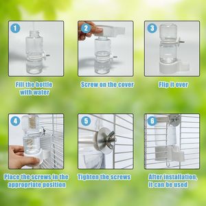 Tempat Makan Burung Grosir, Tempat Minum Burung Beo, Tempat Makan Merpati dan Burung Pipit, Dispenser Makanan Transparan untuk Tempat Minum dan Makan Burung Otomatis - Product Image 2