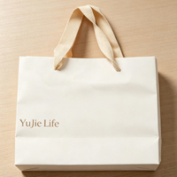 Sacs en papier de luxe en gros pour cadeaux, emballages personnalisés pour bijoux et cosmétiques, sacs en papier avec rubans et poignées