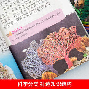 Enciclopedia de Ciencias para Niños - 6 Ilustraciones Coloridas del Mundo Animal, <span class=keywords><strong>Dinosaurios</strong></span> Submarinos, Colección Completa para Grados Escolares - Product Image 4