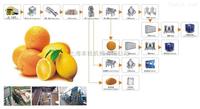 Équipement de traitement du jus d'orange, rouleau, pour la production de citron