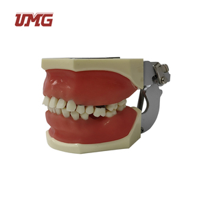 Modello di malattia parodontale per pratica di taglio e sutura - Product Image 2