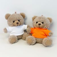 Pendentif Ours en Peluche de Haute Qualité avec Lettre Personnalisée, Breloque de Sac Multicolore pour Détaillants