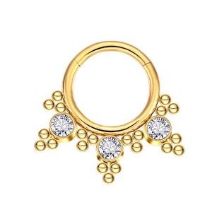 G23 Titan Segment Klapp <span class=keywords><strong>ring</strong></span> Clicker Nasenring schöne Frauen Titan Clicker <span class=keywords><strong>Ring</strong></span> - Product Image 1