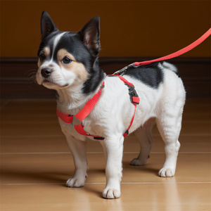 Et Arness at hhest Trap trampa Ype oogs traps trampas ututdoor alalking eat elelts - Product Image 4