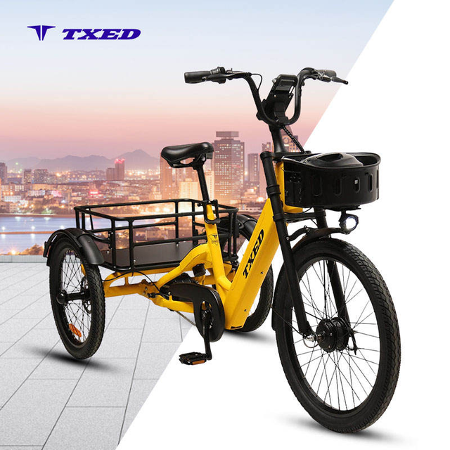 TXED Hot Selling 36V 13AH Lithium Battery Electric Delivery Bike with Front and Rear Baskets 3-Wheel Electric Share Tricycles
