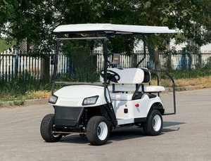 Voiturette de golf électrique 3-4 places certifiée CE, frein à disque sur 4 roues, système EMB, homologuée pour la route et la plage, 30 km/h, autonomie 90 km, prix usine, en promotion - Product Image 1