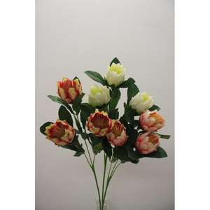 PROTEA SPRAY X3 75CM - Product Image 1