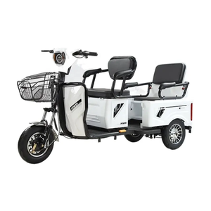 Fat Bike Electric Panel Rickshaw Car <strong>Camper</strong> Electric Tricycle Petrol 3 Wheel Motorcycle <strong>Trike</strong> Folding Tricycle <strong>Trike</strong> Tricycle - Product Image 6