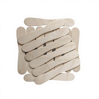 Bâtonnets de crème glacée jetables écologiques en bois de bouleau avec logo, bâtonnets de sucettes glacées portables faits maison, cuillère à crème glacée de qualité supérieure, emballage inclus