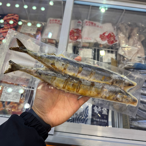 Sanma Shioyaki Clásico, Pescado Congelado Asado al Sal, Listo para Calentar <span class=keywords><strong>y</strong></span> Servir, para Restaurantes, Bares, Cafeterías, Servicios de Catering <span class=keywords><strong>y</strong></span> Venta al por Menor - Product Image 1