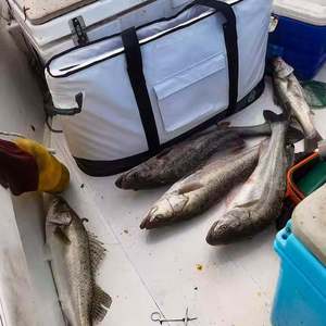 Sac de pêche professionnel réglable et léger, imperméable, multi-poches, avec bandoulière zippée pour pêcheurs - Product Image 5