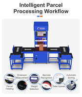 Sistema Automático de Dimensionamiento, Pesaje y Escaneo Estático DWS con Solución de Clasificación de Paquetes de 6 Salidas, 3000 PPH, Precisión de 50g