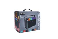 Populaire grande taille Super basse fort sans fil Portable panneaux solaires chargeur stéréo Subwoo BT haut-parleur lumière rvb Radio FM/cartes TF/USB