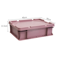 EU4311 HANG NENG Boîte solide multifonctionnelle en plastique, étanche, durable, empilable, emboîtable, recyclable, surface peinte