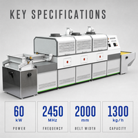 Industriële magnetrondroger met continue band, fabrieks prijs, voor fruitverwerking