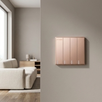 Interrupteurs muraux de haute qualité pour maison, 250 V, commande par PC, interrupteurs à bouton-poussoir en plastique pour l'intérieur