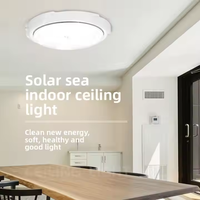 Plafonnier solaire d'extérieur moderne étanche IP65 avec télécommande pour jardin