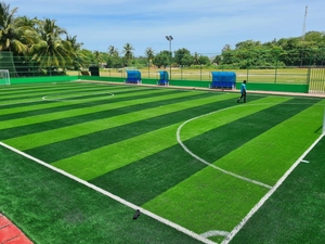 Césped Artificial <span class=keywords><strong>de</strong></span> Alta Densidad Resistente al Desgaste para Gimnasio, <span class=keywords><strong>Cancha</strong></span> <span class=keywords><strong>de</strong></span> Fútbol y Práctica Deportiva - Product Image 6