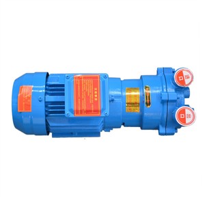 Compresor Industrial BOYUAN Serie 2BV 0.81Kw/1.09Hp, Bomba de Vacío de Anillo Líquido 2BV2060 de Alta Eficiencia para Alimentos (OEM) - Product Image 6