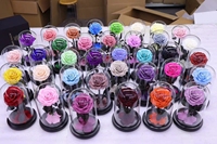 Cupule de la bella y la bestia flor en caja de la bella y la bestia la bella y la bestia l'éternité rouge roses dans le verre dôme