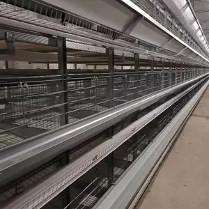 Batterie käfig für Schichten Hühnerfarm Geflügel ausrüstung Hühner haus