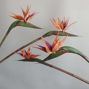 Fleur artificielle de qualité supérieure en latex, oiseau de <span class=keywords><strong>paradis</strong></span>, décoration intérieure, fleurs haut de gamme - Product Image 3