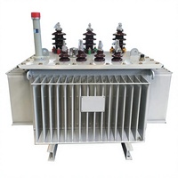 Transformateur de distribution immergé dans l'huile S13-M 10 kV, transformateur de puissance à enroulement en cuivre