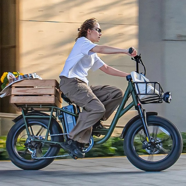 MXUS Off Road Electric Bike 48v 500w/750w 20"*4.0 Fat Tire Integrated Wheel Gear Motor