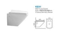 WC suspendu monobloc à chasse directe, design moderne en céramique, sanitaires suspendus au mur