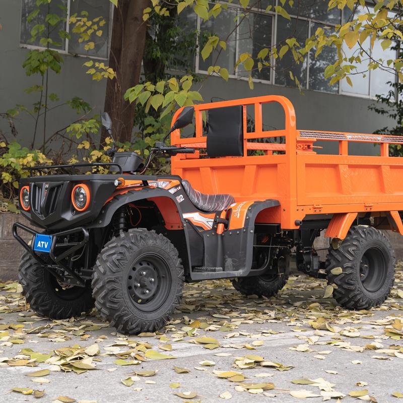 Kinggang Electric ATV 2WD Automatic Transmission