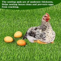 Tapis de nidification pour poulets 12*12 pouces, lavables, en herbe artificielle – pour poulaillers et pelouses de jardin
