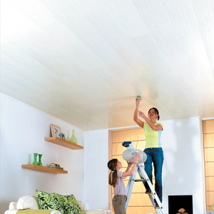 Fransız Pvc iç yatak odası duvar tavan panelleri Hs kodu - Product Image 6