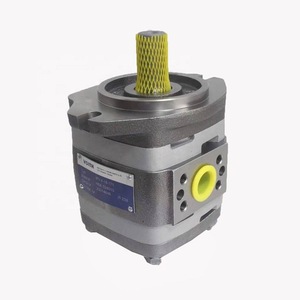 Pompe hydraulique à double engrenage Voith IPV4 13 13 471 pour machine de moulage par injection - Product Image 2