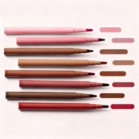Définissez vos lèvres, empêchez le rouge à lèvres de couler, crayon à lèvres longue durée, imperméable, brun, rose, nude, mat