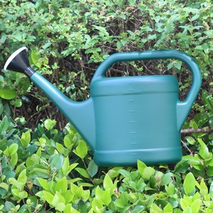 <span class=keywords><strong>Arrosoir</strong></span> en plastique de 3 L au design classique avec poignée, différentes capacités - Product Image 3