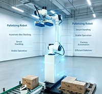 Robot de Paletización Cooperativo Multifuncional, Ahorro de Energía, Alto Rendimiento, Robot de Apilamiento de Cartones, Suministro Directo de Fábrica