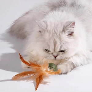 Rarewe Fournitures pour animaux de compagnie : Jouet balle à herbe à chat et plumes, Jouet anti-ennui pour chat, Jouet à mâcher autonettoyant pour chat - Prix usine - Product Image 4