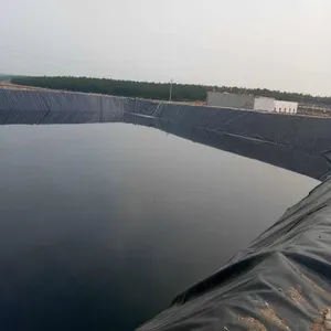 ใหม่ร้านค้าส่งเสริมการขายGeomembrane Hdpe 1มิลลิเมตรHdpe Geomembraneแผ่น