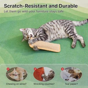 Giocattoli per Gatti con Erba <span class=keywords><strong>Gatta</strong></span> Biologica, Materiale Morbido in Sisal, Giochi Interattivi per Gattini, Divertenti e Stimolanti per Gatti Noi - Product Image 6