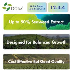 <span class=keywords><strong>Engrais</strong></span> liquide <span class=keywords><strong>organique</strong></span> d'algues noires 100% soluble dans l'eau pour l'agriculture, améliore la sucrerie des fruits - Product Image 2