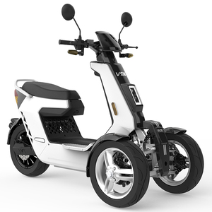 Triciclo de Pasajeros V28 Estilo Doohan, Motocicleta de 3 Ruedas con Certificación EEC, 2000W/3000W - Product Image 2