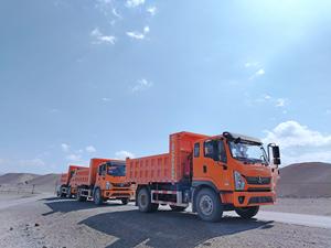 新款萨格莫托 X7 OEM 自卸车、货车、平板车，欧二排放标准 - Product Image 6