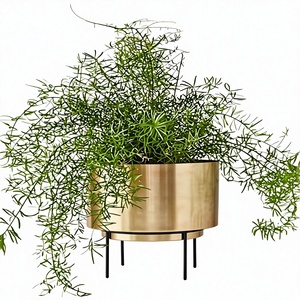 Jardinière moderne en métal avec support pour plantes décoratives d'intérieur, salon, chambre, bureau et maison - Product Image 1