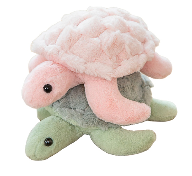 Fun Kids Turtle Toys Educational Entertainment